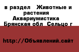  в раздел : Животные и растения » Аквариумистика . Брянская обл.,Сельцо г.